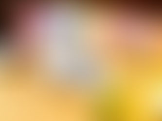 PUUTEE2019オリジナルカレンダー!!