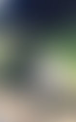 Hand craft cafe'+one & 音のWood Stream