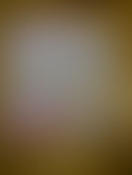 サリーさんからの贈り物。