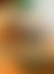 自然素材グラノーラ&ふりかけ