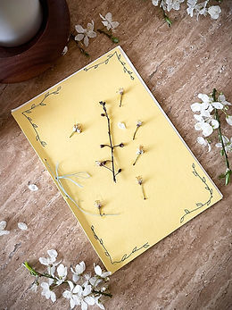 Handmade Spring poetry book | Transformational Coaching with Kirsty Macdonald | www.kirstymacdonald.co.uk