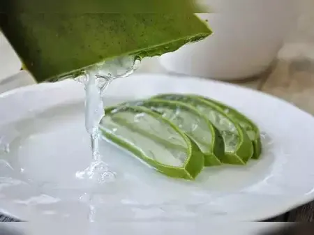 Aloe Vera: The Green Miracle for Skin, Hair & Health