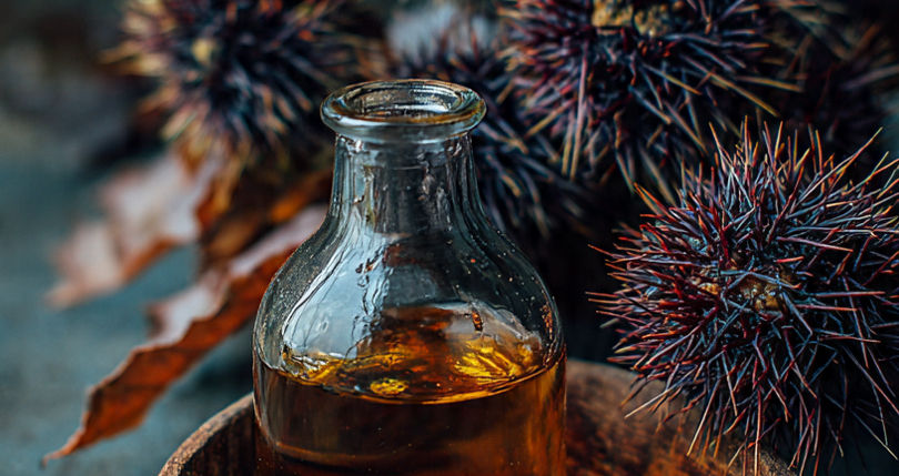 Castor Oil for Digestion and Detox: Benefits and Safe Usage Guide