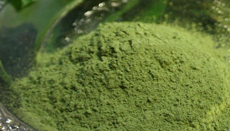 Indigo Powder vs Chemical Hair Dye: Which Is Better for Your Hair?