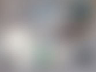 2ème point d'étape du projet Digi'Climat en 2A