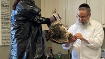 SHCHITA WITH RABBI BENYOWITZ