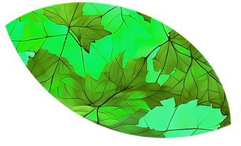 l'arbre a souhaits