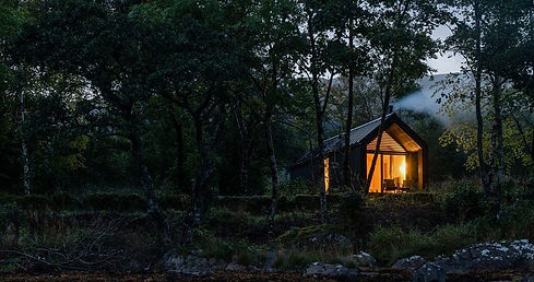kabn-company-situ-forest-1442x760_edited_edited.jpg