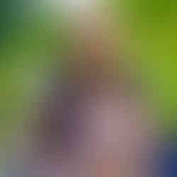 Jamaica Carnival Glam Hub 2024