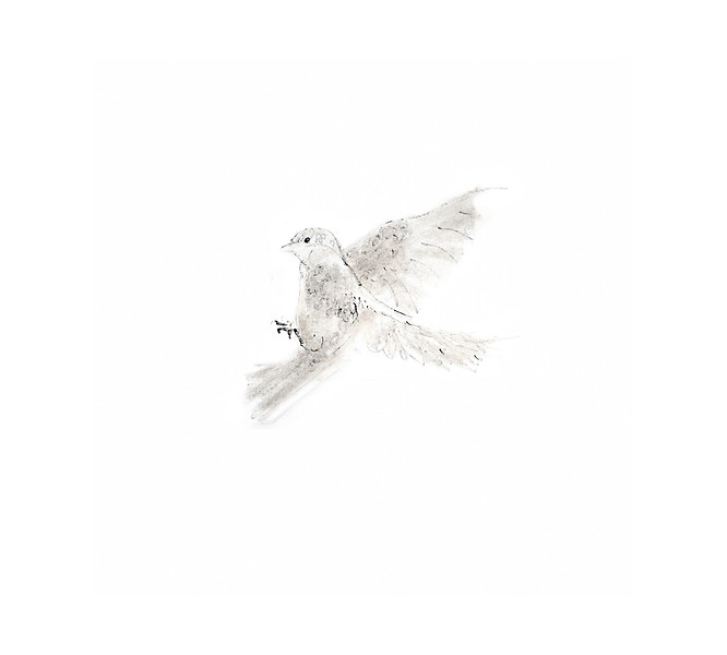 5. ontology of weak presence VII.jpg
