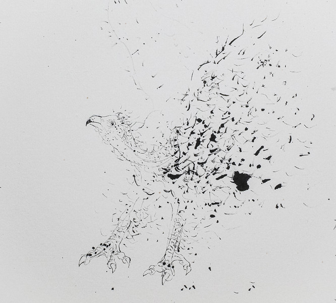 4. dispersing form III.jpg