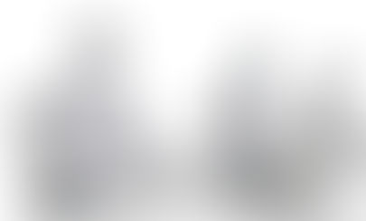 No Bots Were Used In The Making This Blog