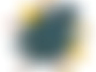 El impacto poblacional de la migración en las ciudades: situación actual y futuro posible