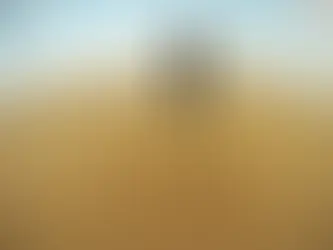 ¿Nos vamos? Cómo evitar que la migración termine en naufragio.