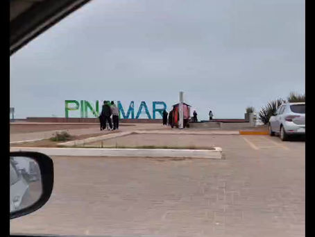 migra en Pinamar: un taller que sembró comunidad