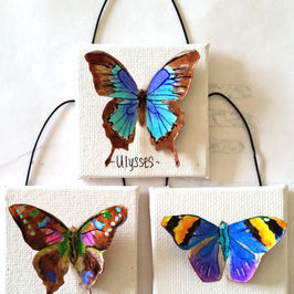 Just for the Fun of it.