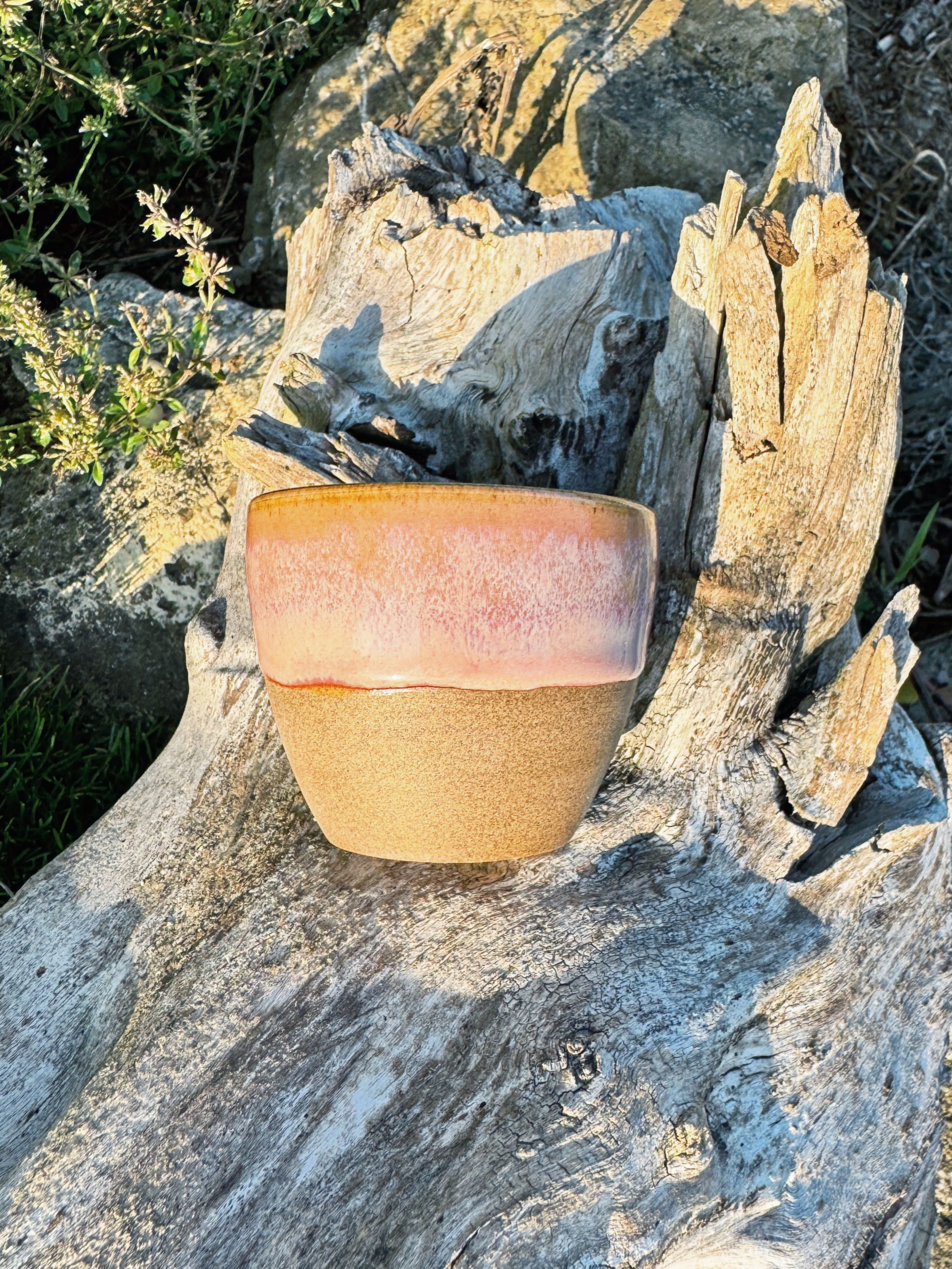 Púštna ruža cup - 100ml