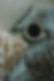 D56ED1DF-EAA9-4476-94FF-7336F40FC589.jpeg