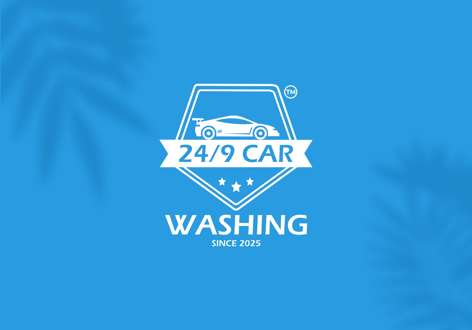 Writer: 24/9 Car Washing