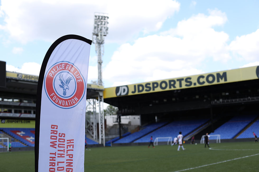 The Palace For Life Foundation - Changing Lives In South London 