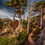 Thumbnail: Point Lobos