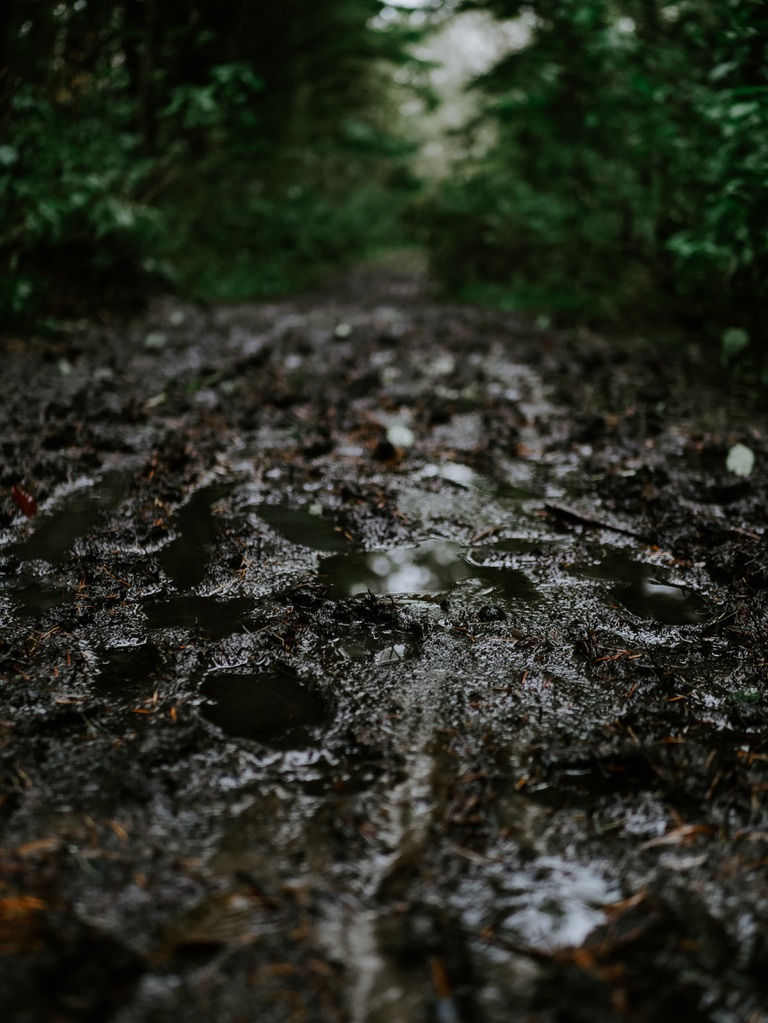 Thumbnail: Carmel River Candle