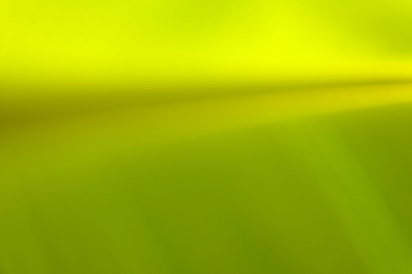 PLANTLIGHT - LIM - BEAUTY IN BANANA - SUN UP UNDER FROND - L1130036 S.jpg