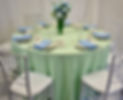 Polyester Mint