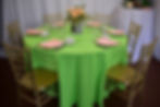 Polyester Lime