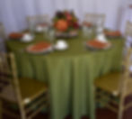 Polyester Dark Olive
