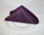 Poly Eggplant Napkin
