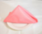 Polyester Watermelon