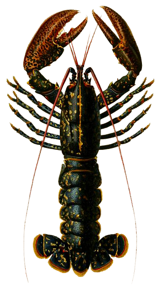 719f80c25ac12690db6a0c7547fe930b.png