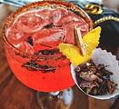 mixologia_Terraza_Victoria_La_Mejor_Terr