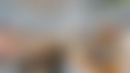 Salem Mayor and Superintendent of Schools discuss the evolution of Collins Middle School: From Pilot Program to Standard Practice