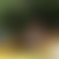 Designing Together: Lessons from a School and Community Partnership on the Ipswich River