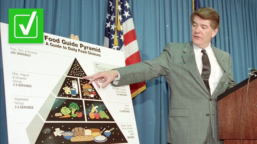 Man unveiling a food pyramid