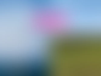 Engagement transition lessons - offshore wind farm and transmission lines