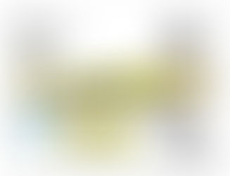Começa o nosso projeto em grupo para estudo da viabilidade técnica da construção de uma escola profi