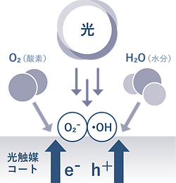 光触媒_図.png