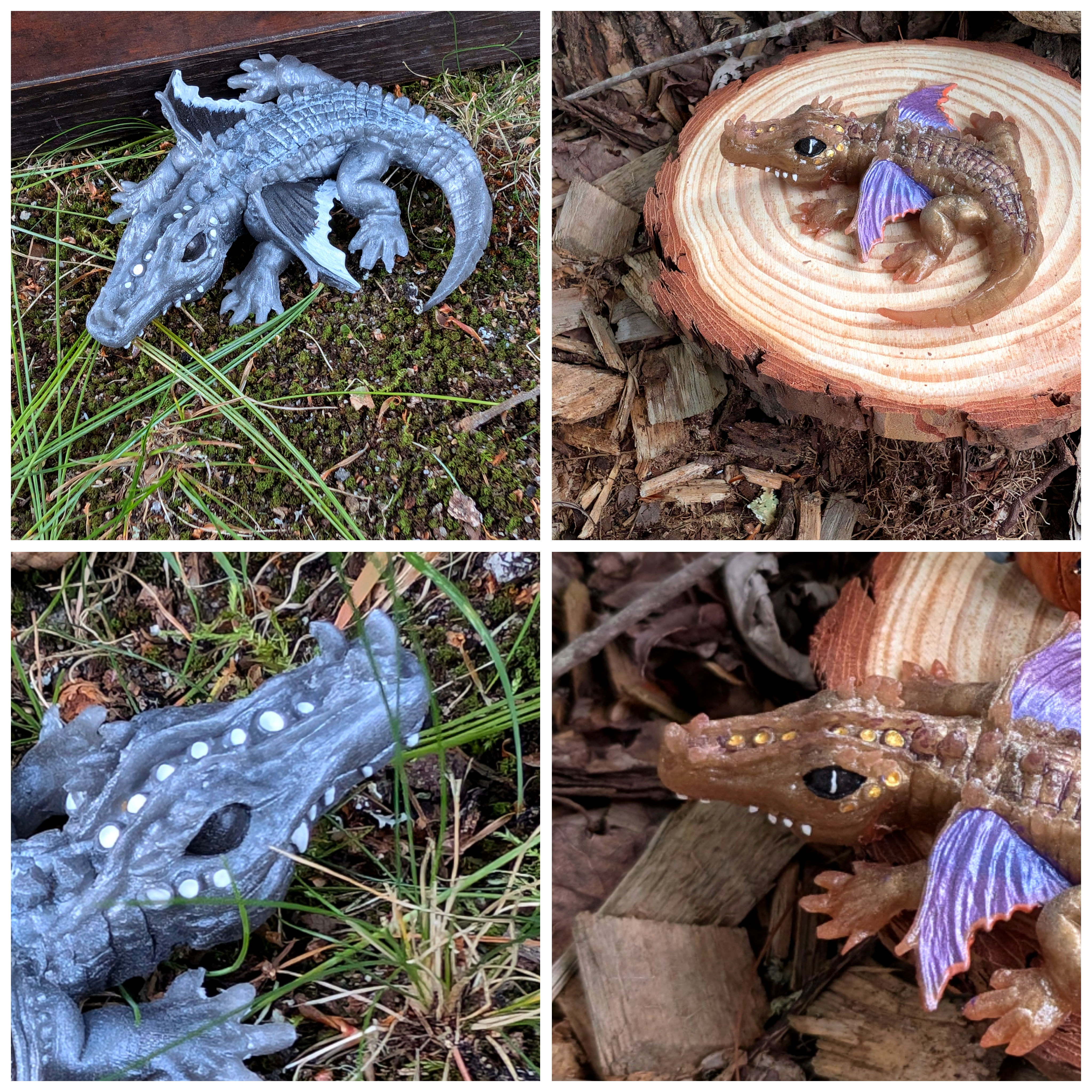 Gator Dragons