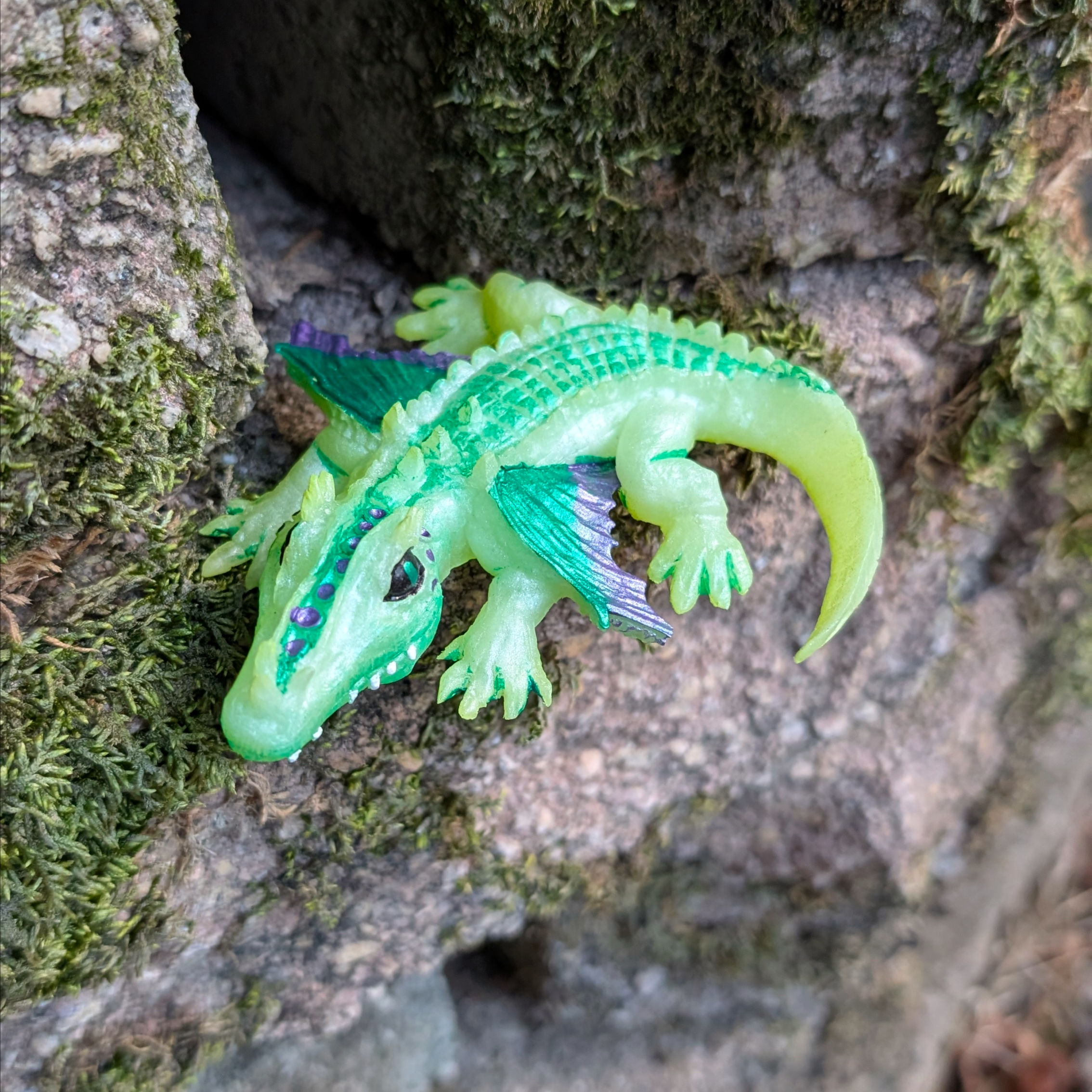 Gator Dragons