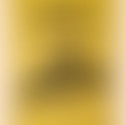 MORBID IS THE NEW FUN (TALK AND WORKSHOP)