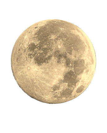 Promo (1080 x 1350 px) (29).png