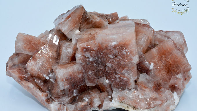 Apophyllite rouge (Red apophillite)