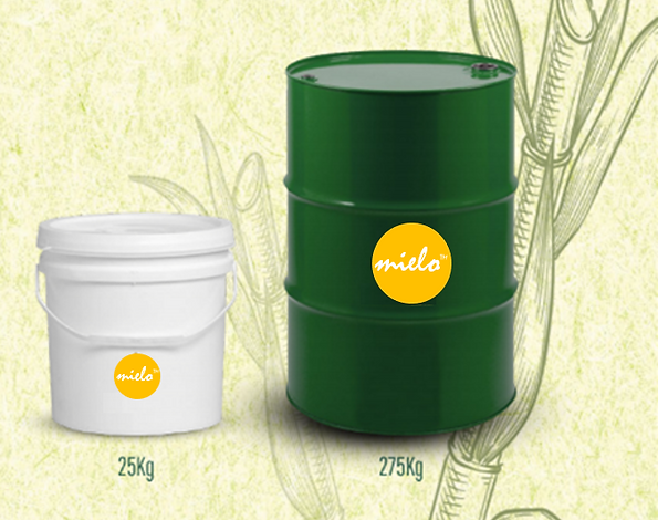 mielo packaging.png
