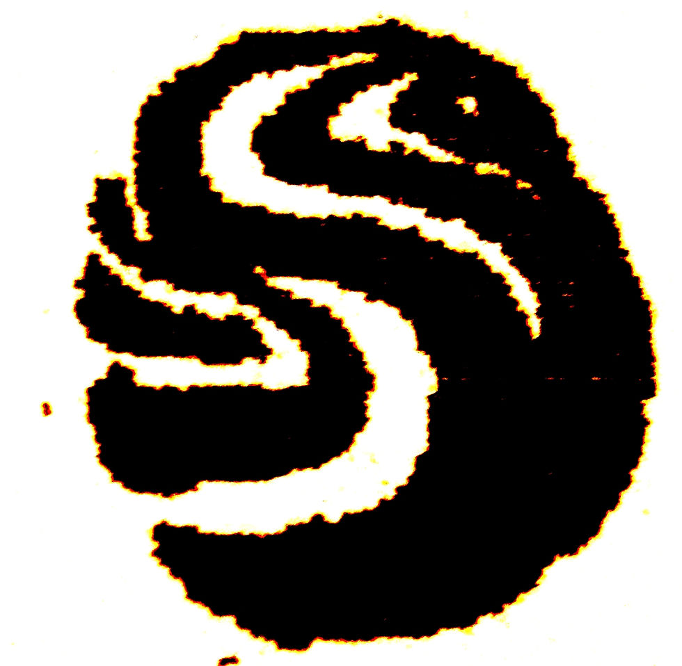 LOGO SENDEROS CORREGIDO JPG 4-8-13 011.jpg