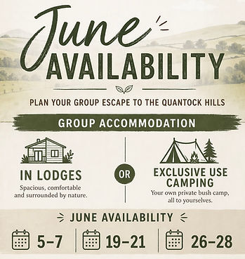 Last minute avaliable dates