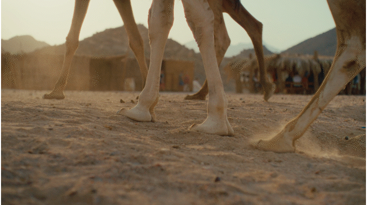 TUI AD.gif