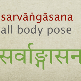 sarvāngāsana